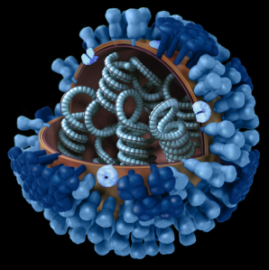 Influenza virus from the Public Health Image Library of the US Centers for Disease Control and Prevention.